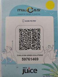 Carico